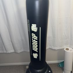 Blow Up Punching Bag 