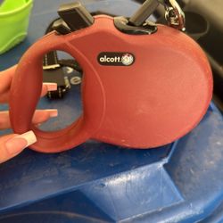 Retractable Leash For Large Dogs 