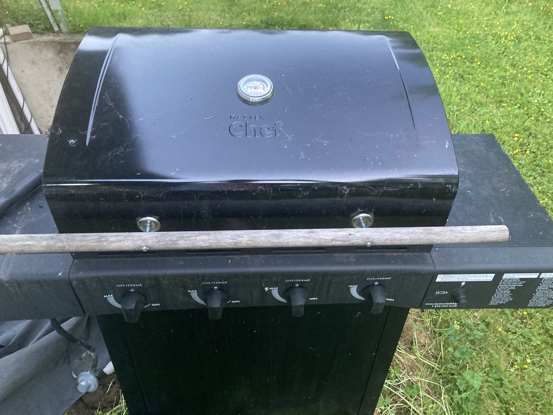 Free Bbq.