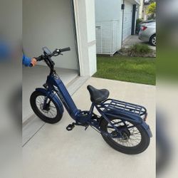 Emojo Class 1 E-Bike, Pedal-Assist - Fair – Wimauma, FL