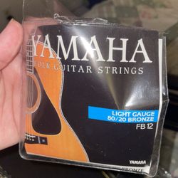 johnson est 1993 guitar  model JG-610-BL3/4