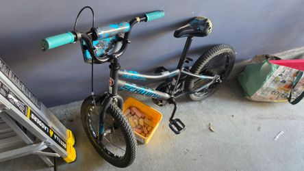 Schwinn 16"