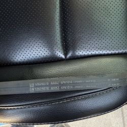 GM OEM Belt