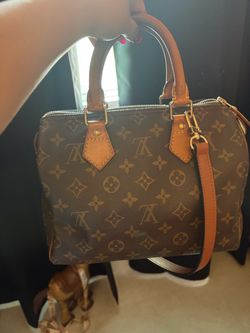 Louis Vuitton Speedy 25 vintage Handbag