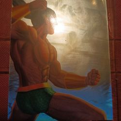 Limited Edition 1995 Flair Marvel Holoblady For Sale.