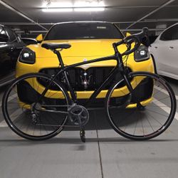 All-Carbon Trek Domane SLR 6 Racing Bike 