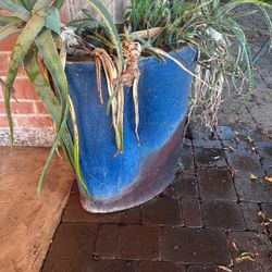 Large Ceramic Pot