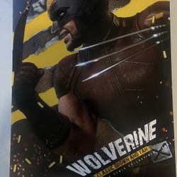 Hot Toys - Wolverine brown & tan MMS831 [Opened]