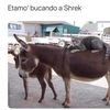 Jorge