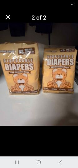 Dog Pull On Diapers for Males size XS