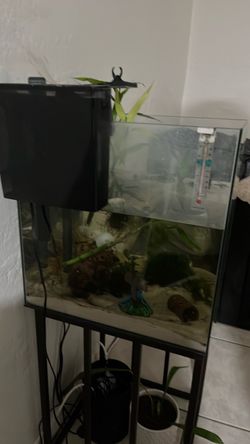 15 gallon Tank