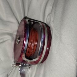 Fly fishing reel (automatic)