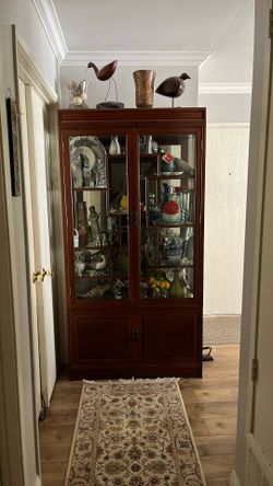 Wood and Glass Modern Compact China Cabinet
