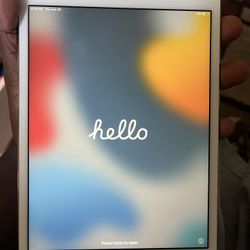 Small iPad (iCloud Locked)