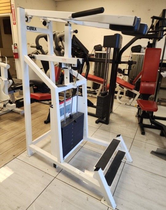Cybex standing calf gym equipment exercise fitness weight machine
