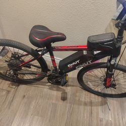 Electric Bike