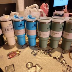 Stanley Tumbler H2.0