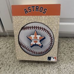 Houston Astros Wooden Puzzle (Medium)