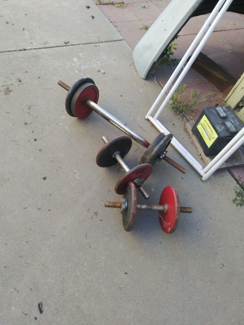 Pig Iron...weights