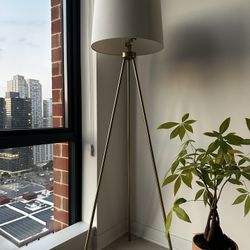 Modern Tripod Floor Lamp
