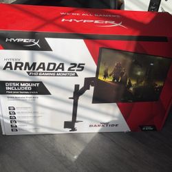 25in 240hz Gaming Monitor