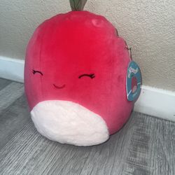 New Squishmallows 