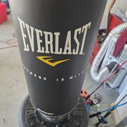 Everlast Punching Bag With Gloves 