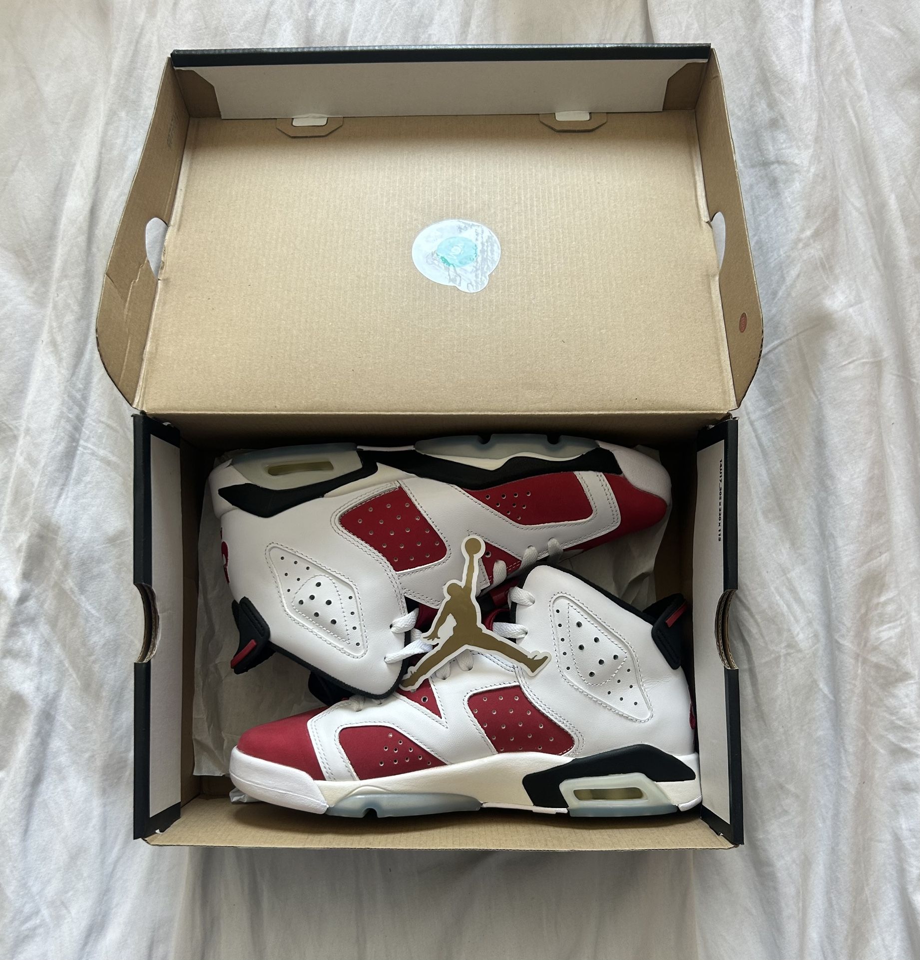 Jordan 6 Retro Carmine 