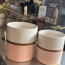 Pink Planters