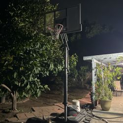 Lifetime Basketball Hoop