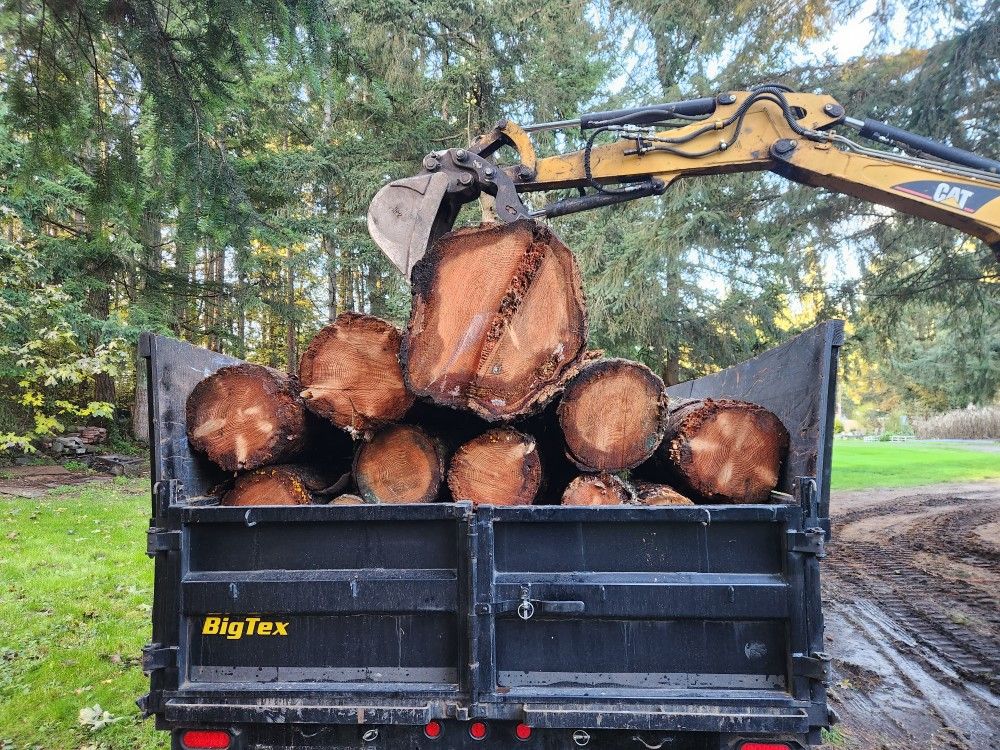 Firewood
