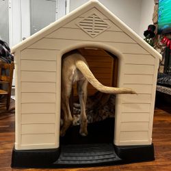 Dog House XL 