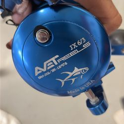 AVET REELS REEL