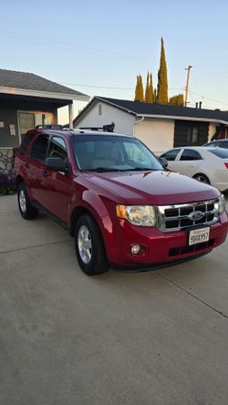 2011 Ford Escape