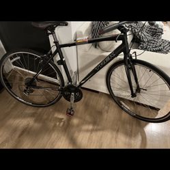 Trek bikes