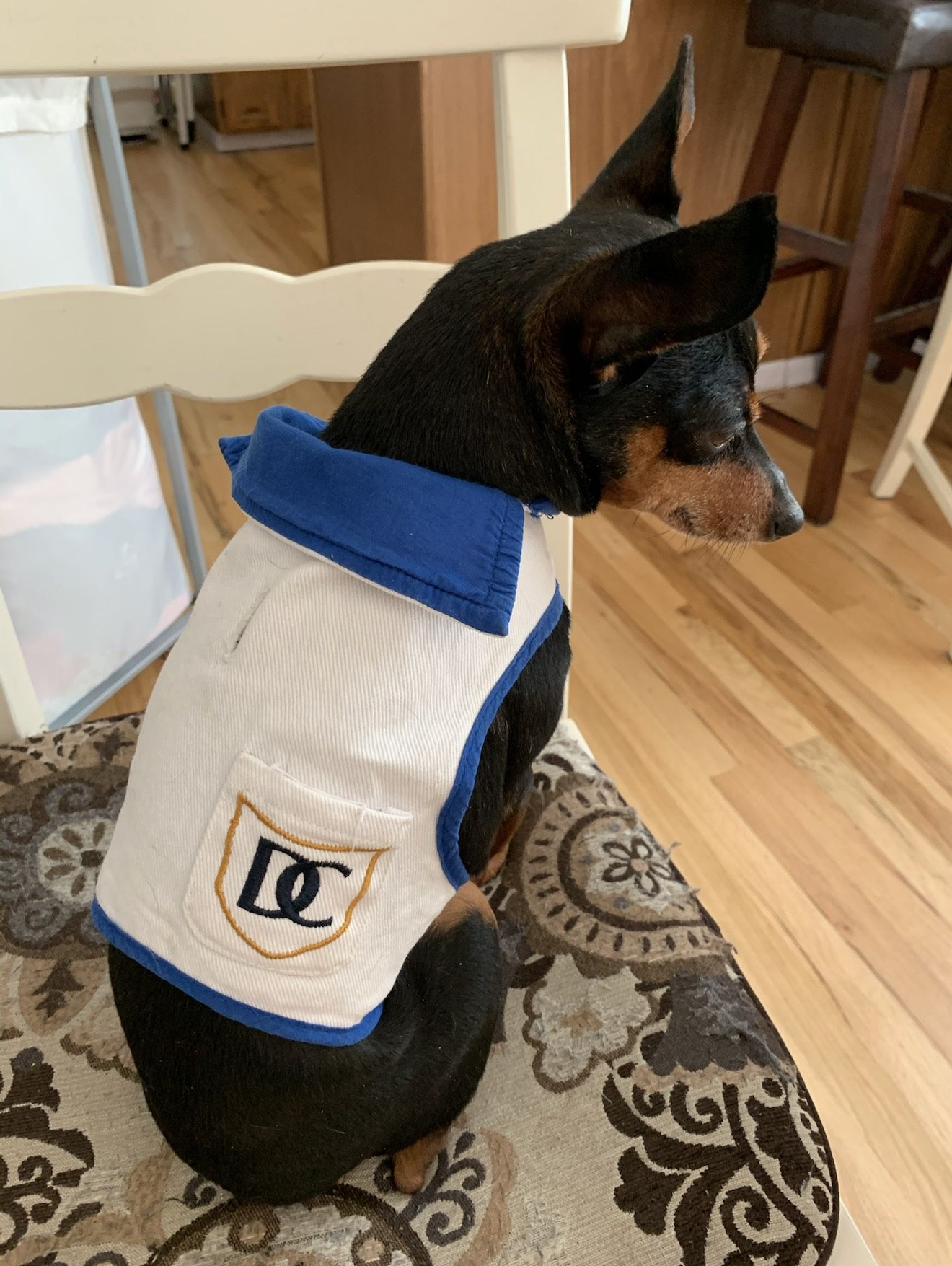 Doggie Outfit For Small Breed, 5/7 Pounds Wright