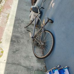 Giant  700 X 35 C Bike 