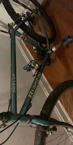 Green Bianchi Ocelot