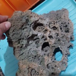 *Salt Water*   *Fresh Water*  *Aquarium* *Fish Tank* 