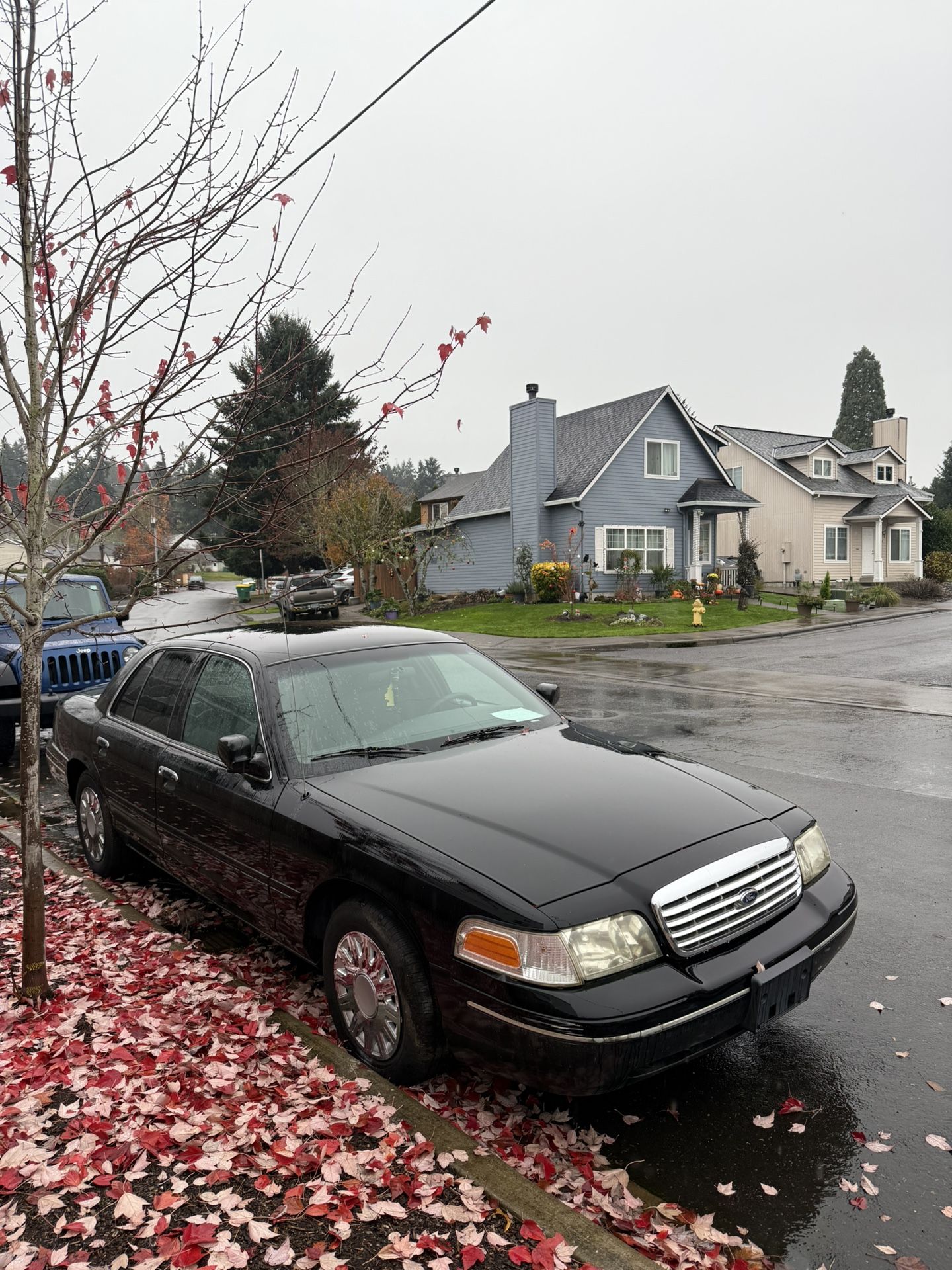 2004 Ford Crown Victoria
