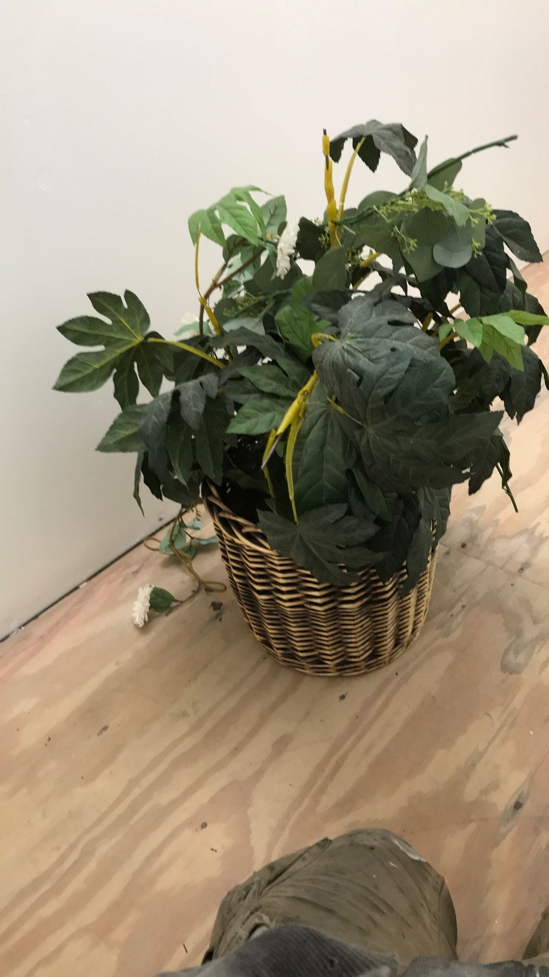 Fake Plant