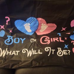 Gender Reveal Balloon Bag Drop