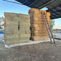 🌾 Alfalfa & Oat Hay for Sale 🌾