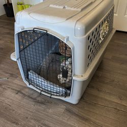 Large Dog Kennel 