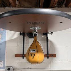 Everlast Speed Bag