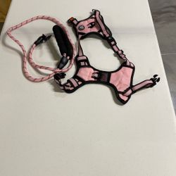 Small Dog Harness With Leash 