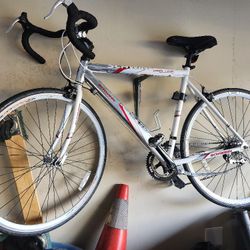 2011 Swinn 10 Speed Bike