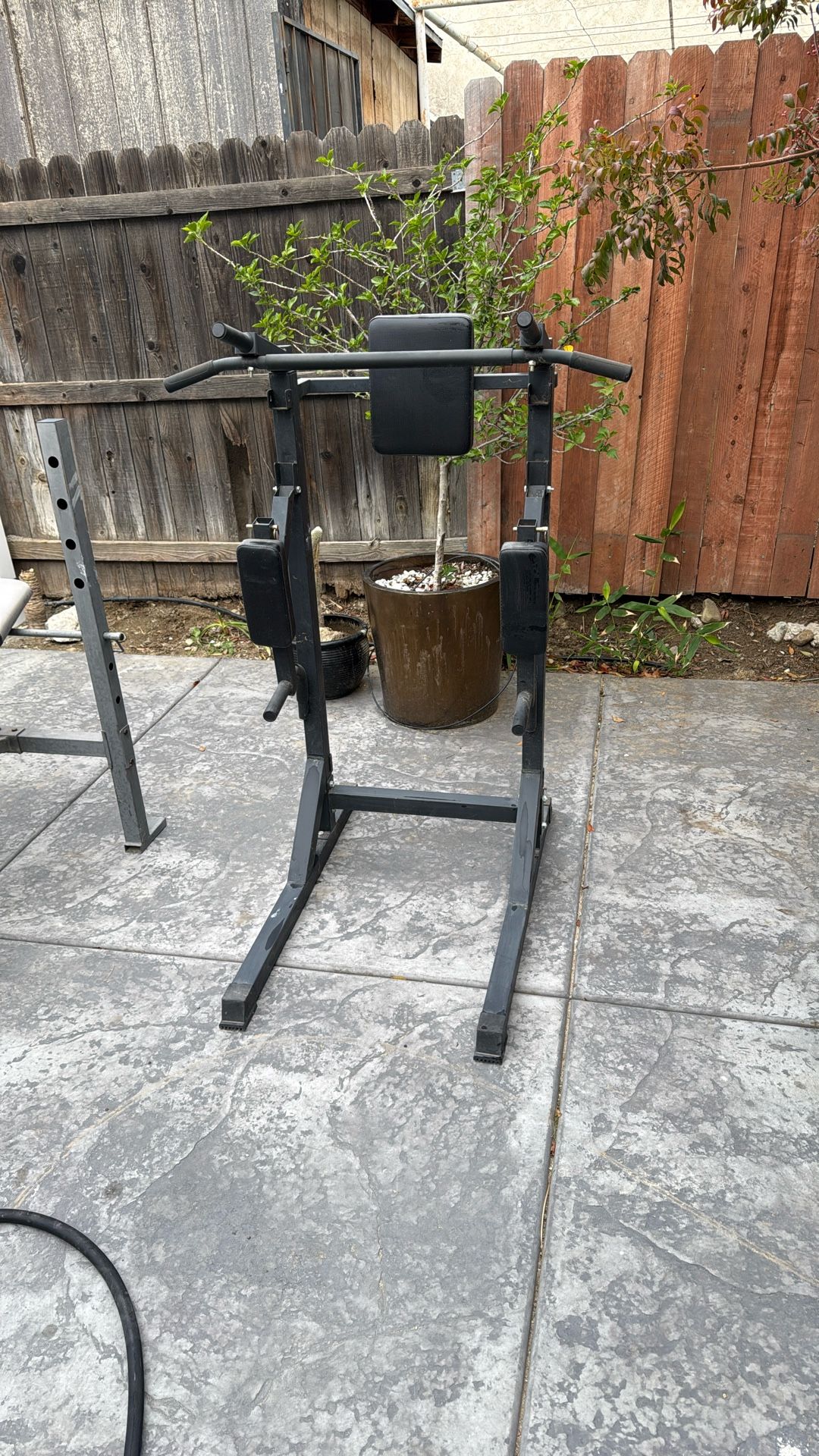 Pull Up Bar Exercise