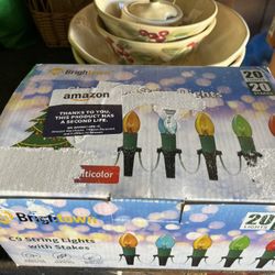 Outdoor Christmas Lights 