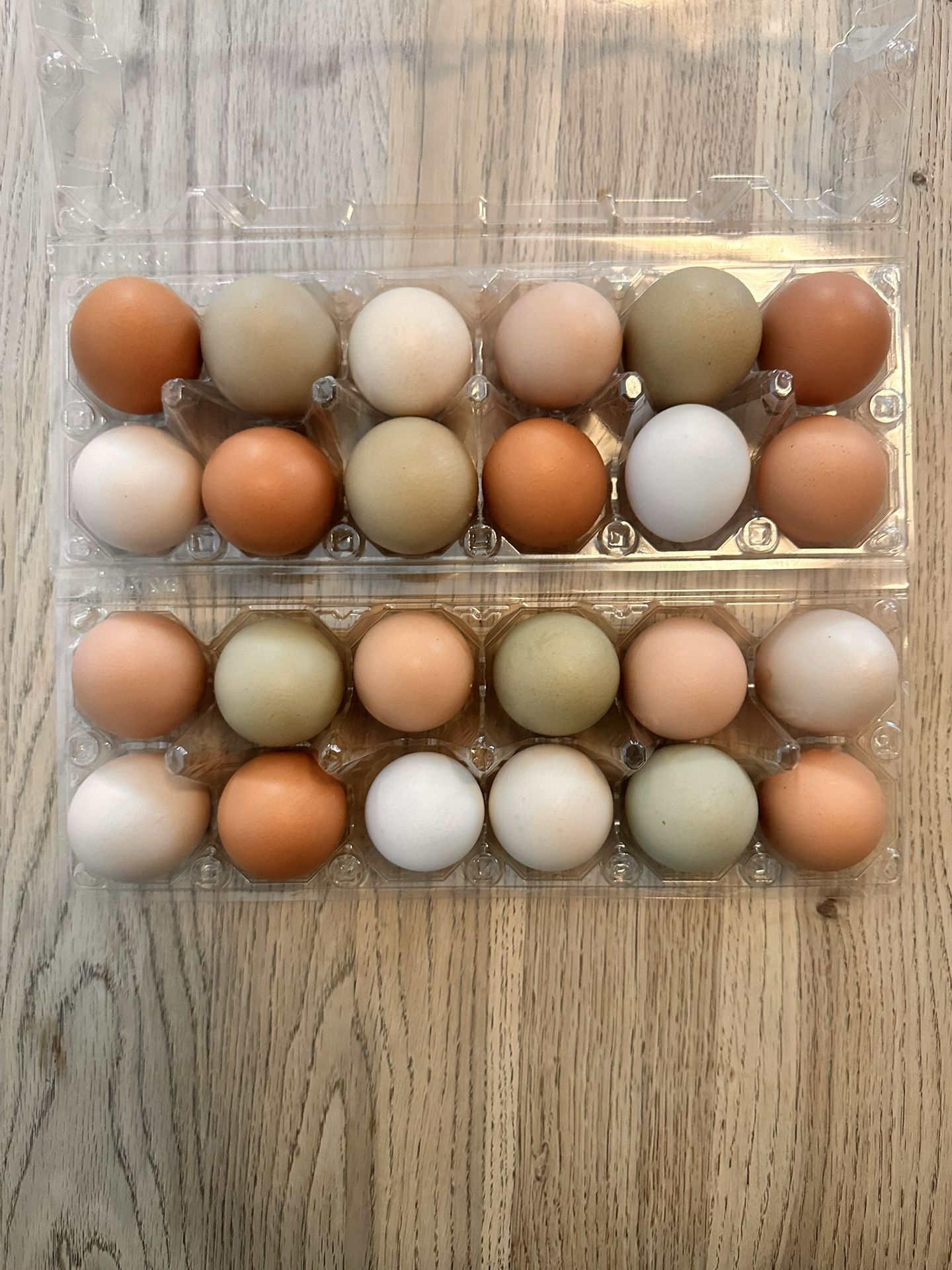 Chicken Eggs